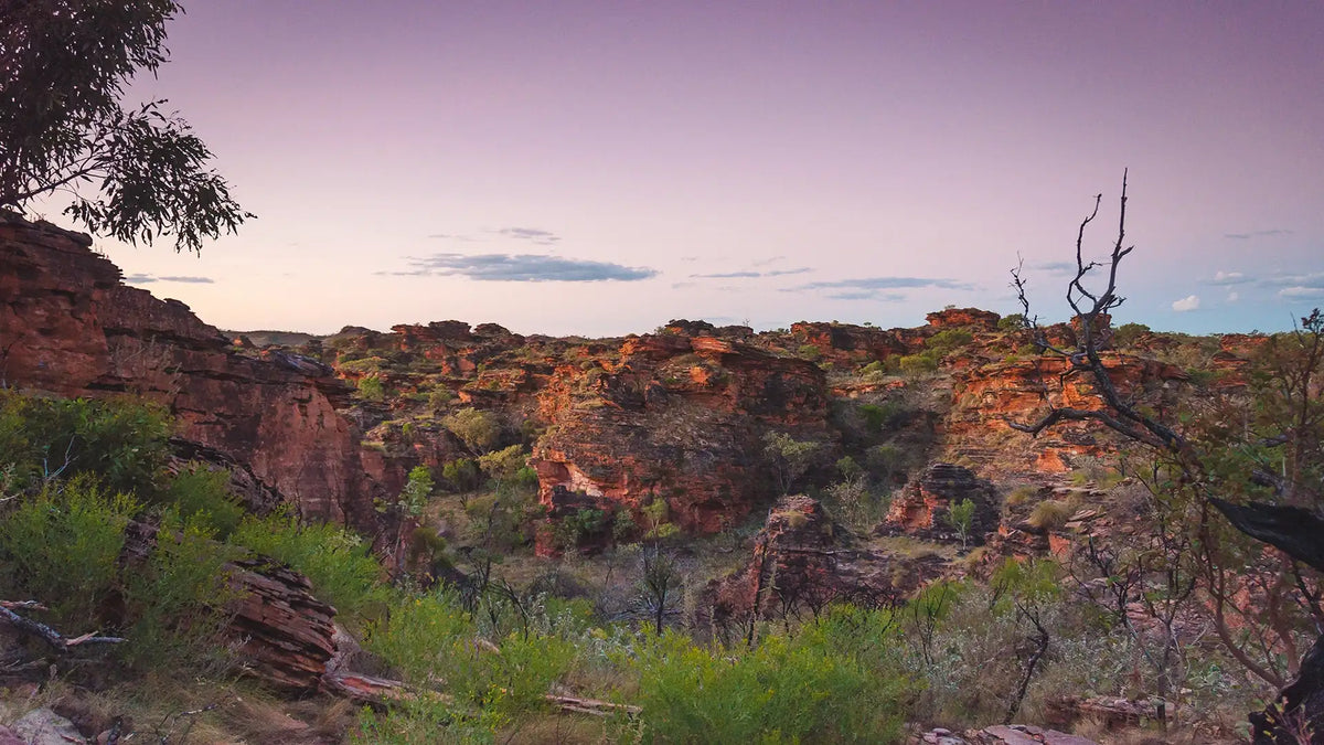 Australian outback bush track winding through golden grasslands, representing the sense of adventure in True Blue Pen Pals kids subscription letters
