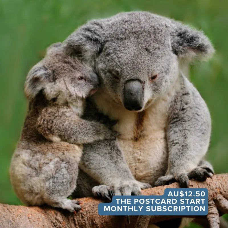 The Postcard Start — True Blue Pen Pals monthly Australian pen pal adventure subscription, delivering screen-free story letters and activities to kids by mail