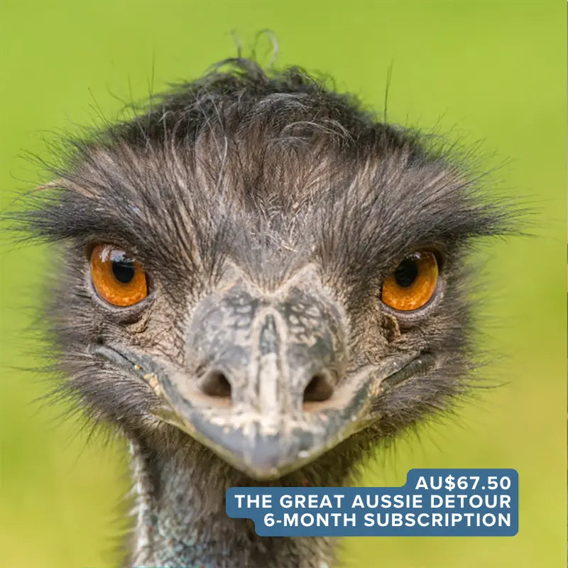 The Great Aussie Detour: 6-month pen pal subscription for kids exploring Australia's landscapes via story letters and activities by post. 