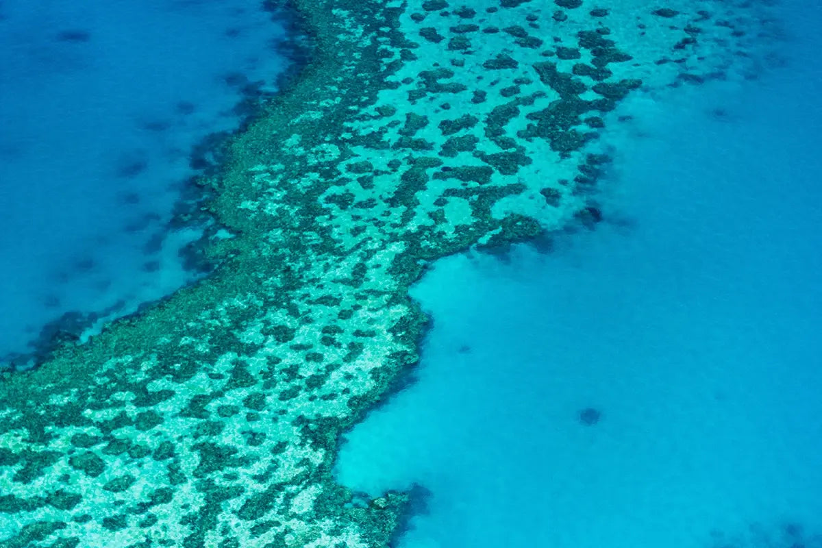Aerial view of the Great Barrier Reef, Queensland, Australia, showing coral formations in turquoise and deep blue water