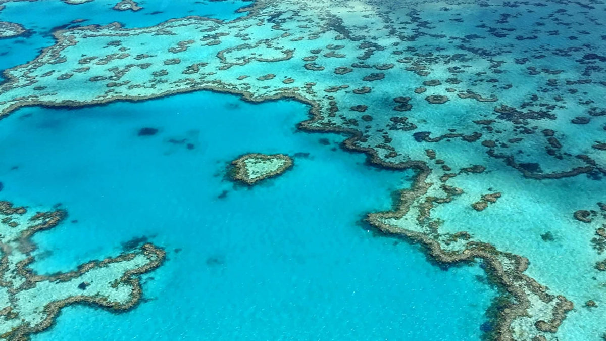 Breathtaking aerial view of the Great Barrier Reef Queensland, showcasing vivid turquoise lagoons and coral formations, one of the spectacular Australian destinations explored in True Blue Pen Pals adventure letters for kids