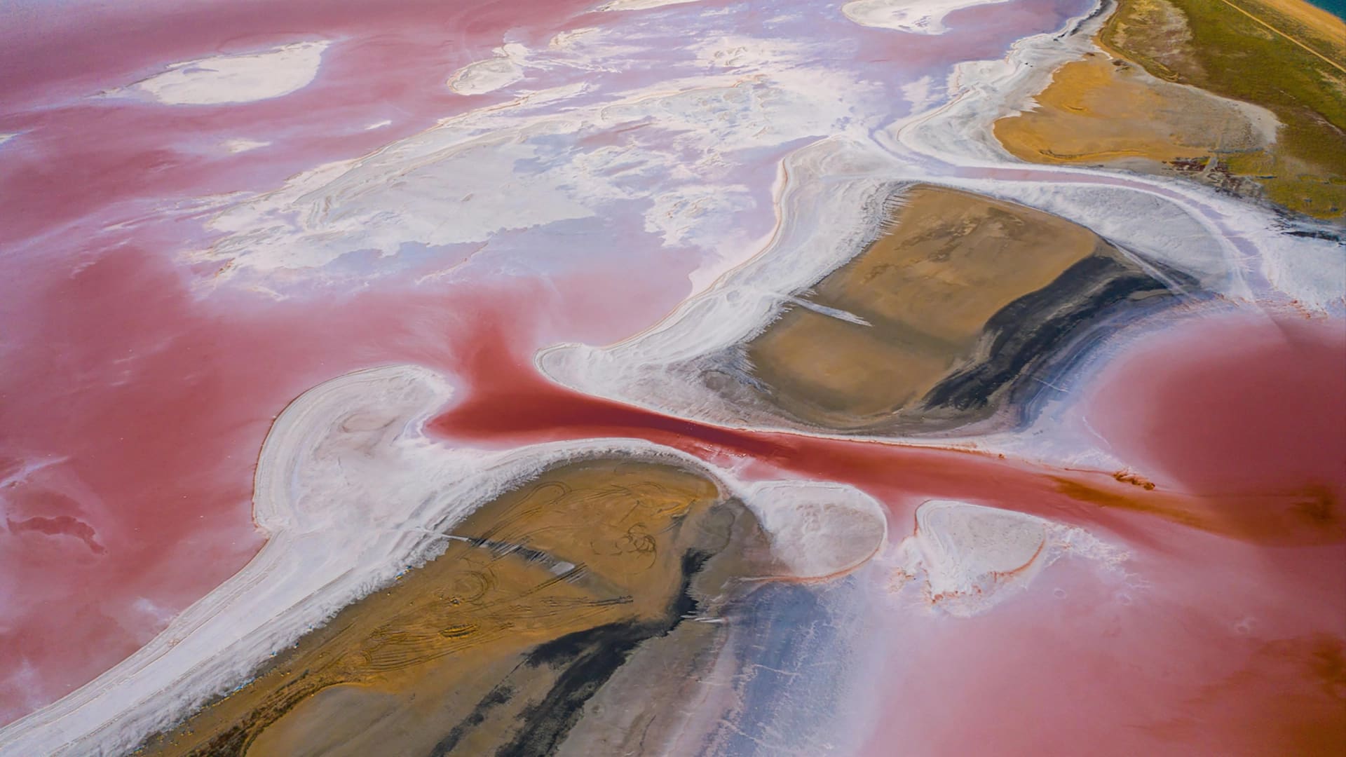 Pink Lake in South Australia glowing under blue skies, one of Australia's most curious natural wonders featured in True Blue Pen Pals adventure letters