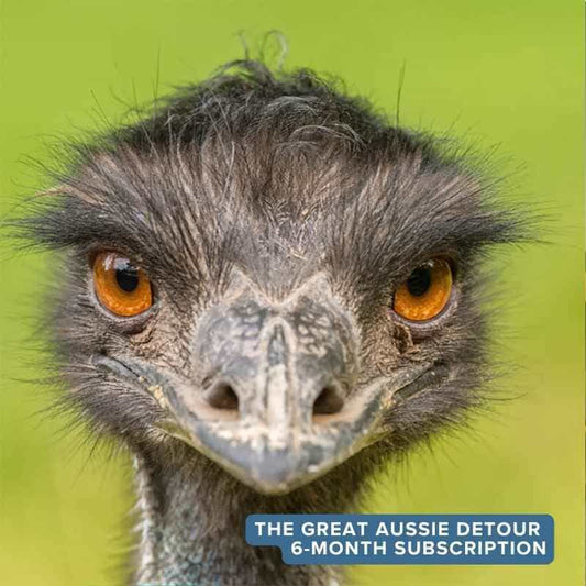 The Great Aussie Detour six month True Blue Pen Pals subscription box, taking curious kids on a six adventure journey discovering the hidden gems and breathtaking landscapes of Australia through screen-free story letters and hands-on activities delivered by post