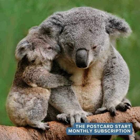 The Postcard Start — True Blue Pen Pals monthly Australian pen pal adventure subscription, delivering screen-free story letters and activities to kids by mail